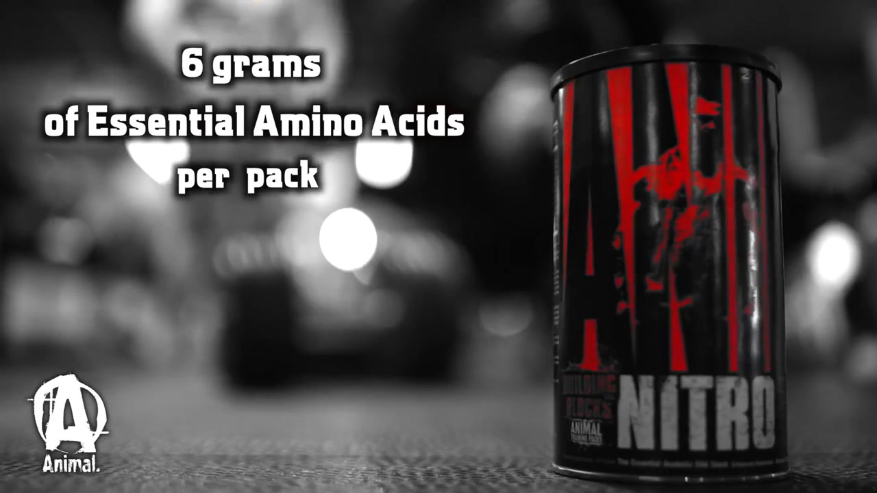 Universal Nutrition Animal Nitro